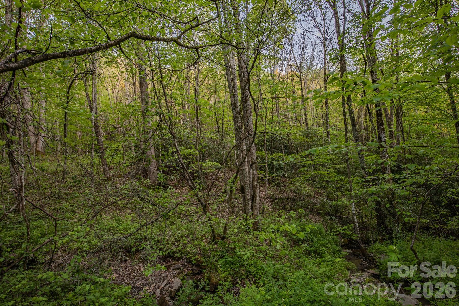 000 Unahala Creek Drive Bryson City NC 28713
