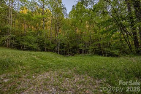 000 Unahala Creek Drive Bryson City NC 28713