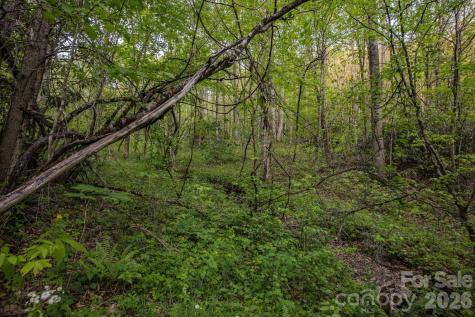 000 Unahala Creek Drive Bryson City NC 28713