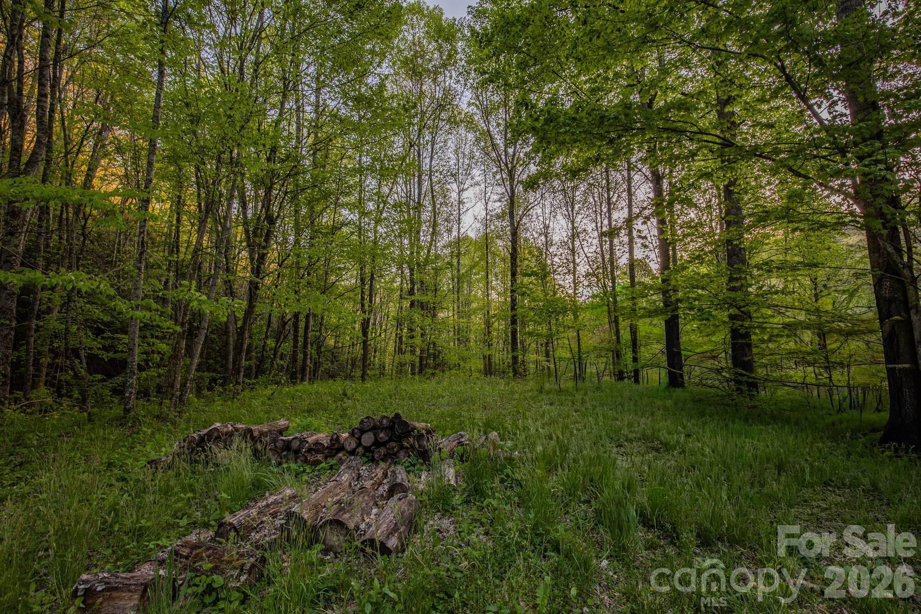 000 Unahala Creek Drive Bryson City NC 28713