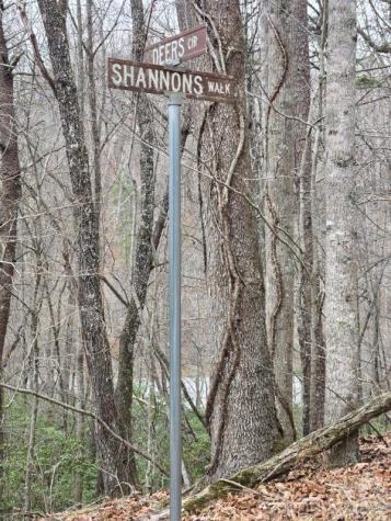 575 Shannons Walk Lake Lure NC 28746
