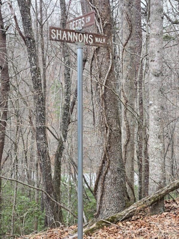 575 Shannons Walk Lake Lure NC 28746