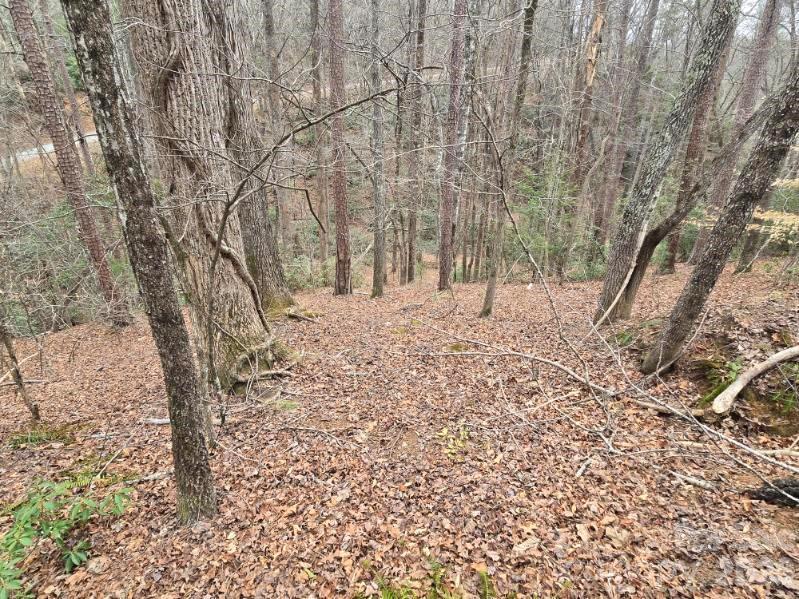575 Shannons Walk Lake Lure NC 28746