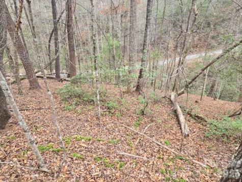 575 Shannons Walk Lake Lure NC 28746
