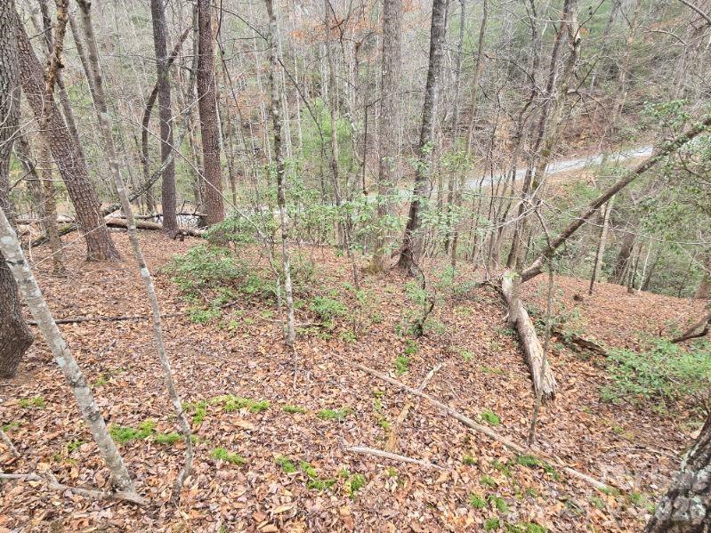 575 Shannons Walk Lake Lure NC 28746