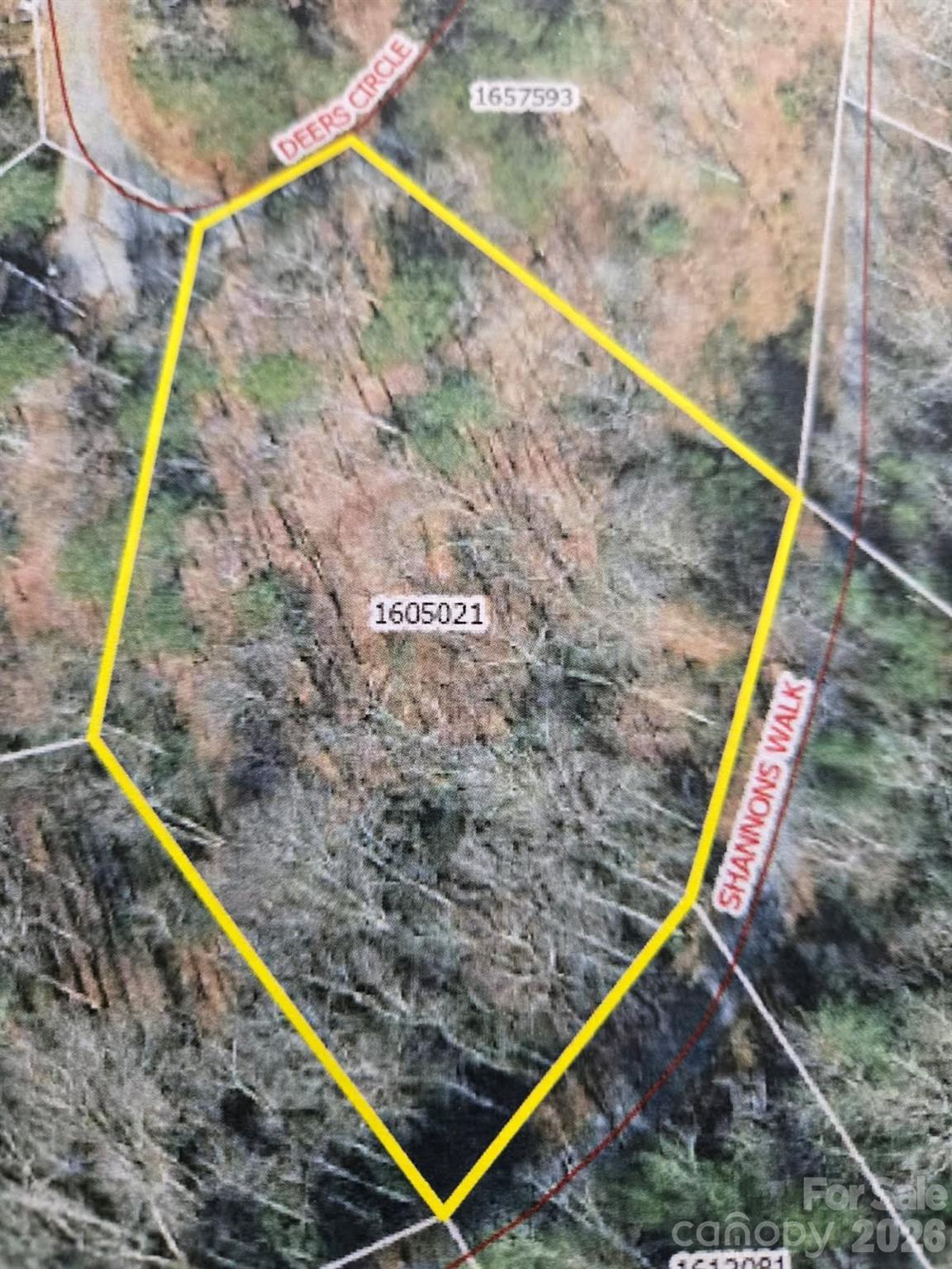 575 Shannons Walk Lake Lure NC 28746