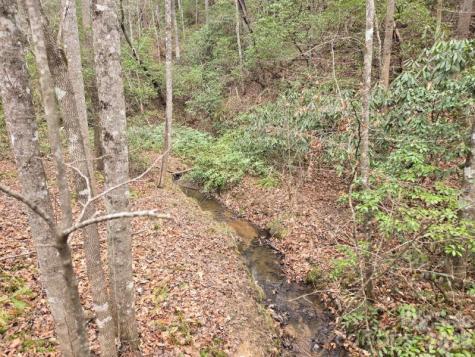 575 Shannons Walk Lake Lure NC 28746