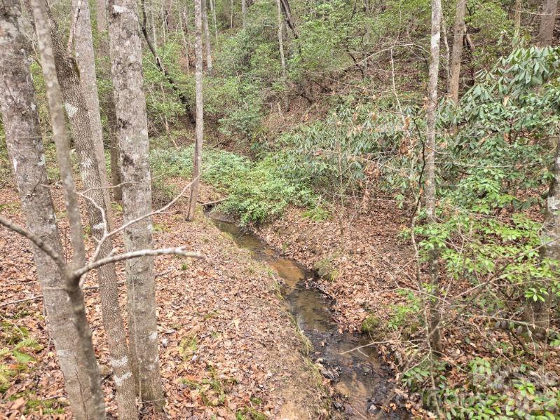 575 Shannons Walk Lake Lure NC 28746