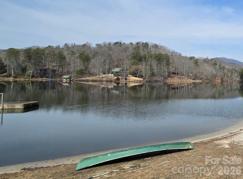 575 Shannons Walk Lake Lure NC 28746