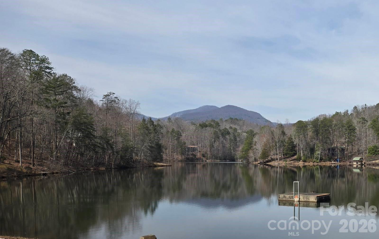 575 Shannons Walk Lake Lure NC 28746