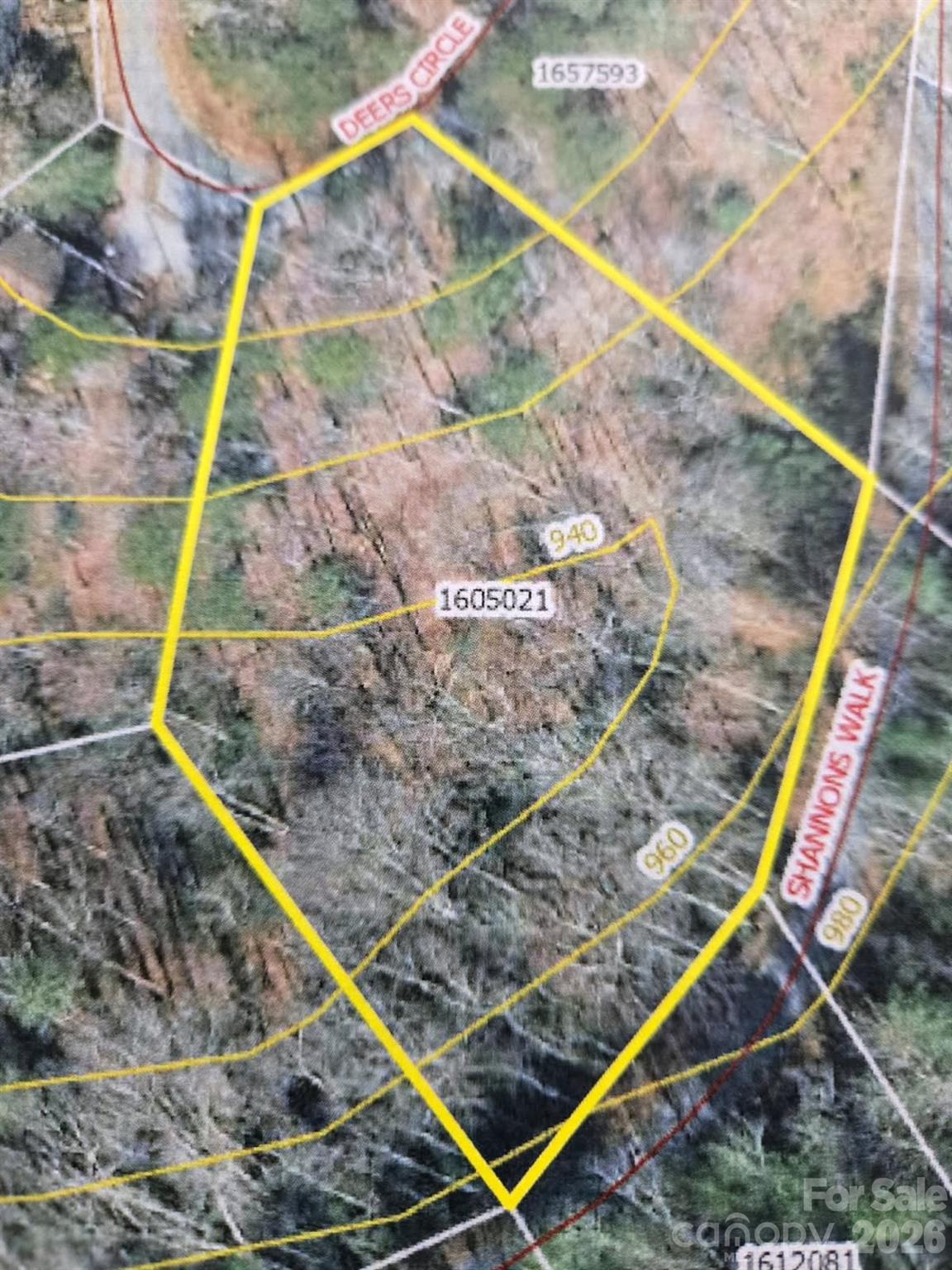 575 Shannons Walk Lake Lure NC 28746
