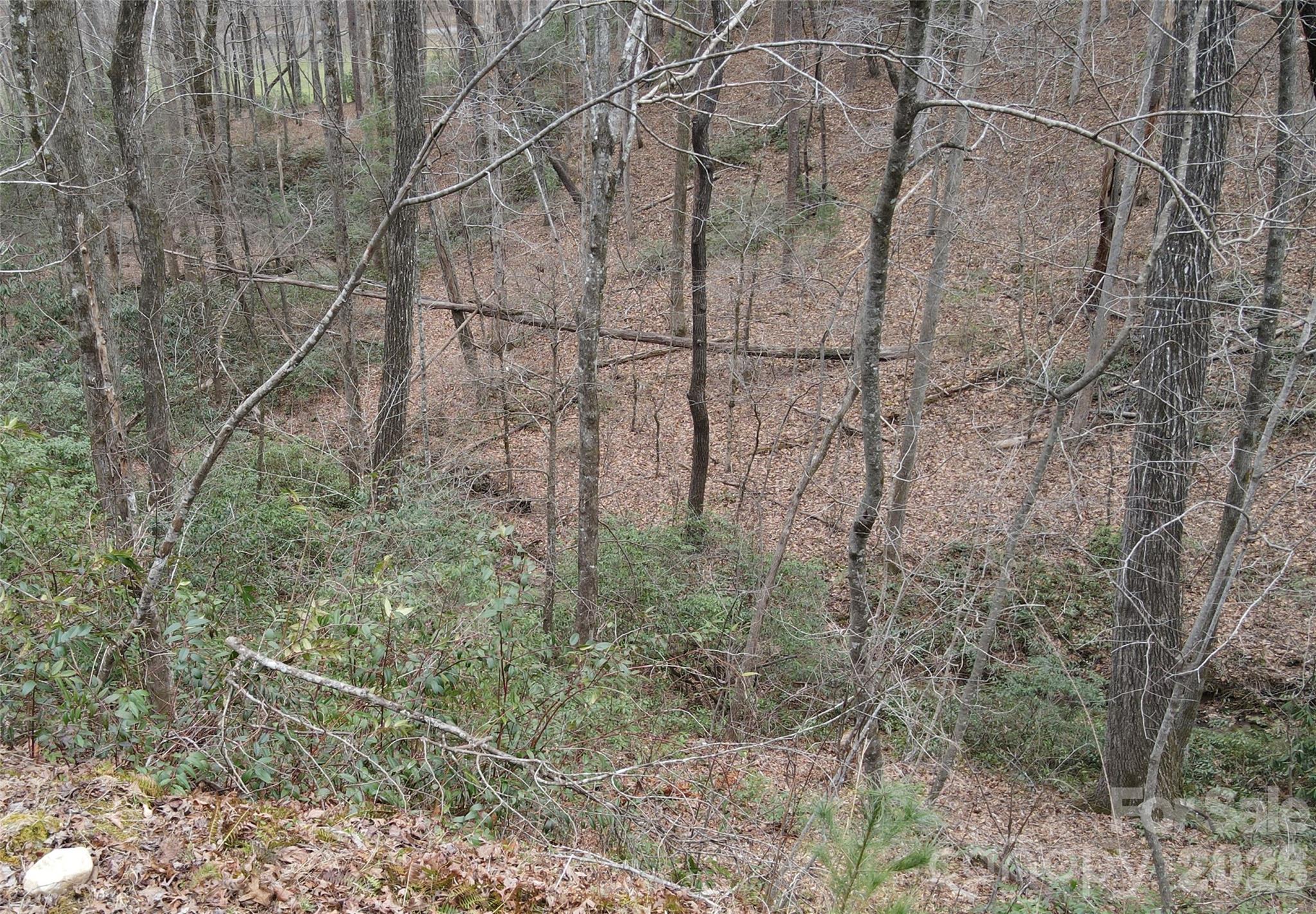 575 Shannons Walk Lake Lure NC 28746