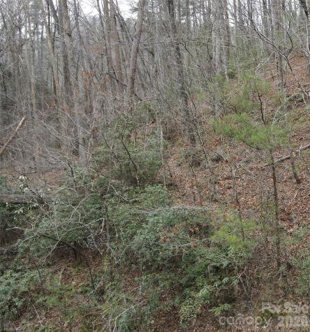 575 Shannons Walk Lake Lure NC 28746