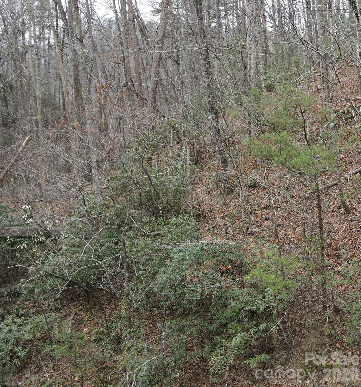 575 Shannons Walk Lake Lure NC 28746