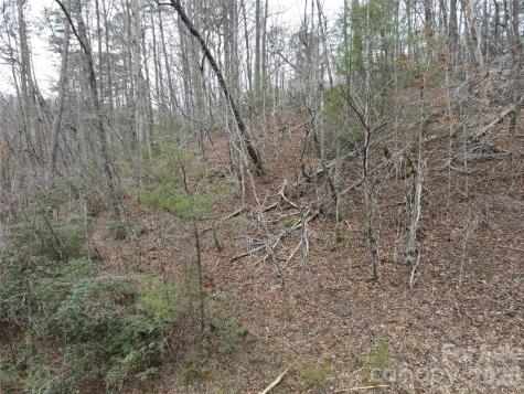 575 Shannons Walk Lake Lure NC 28746