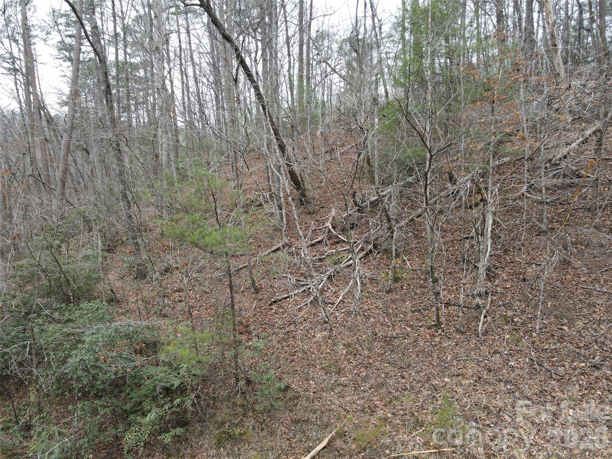 575 Shannons Walk Lake Lure NC 28746