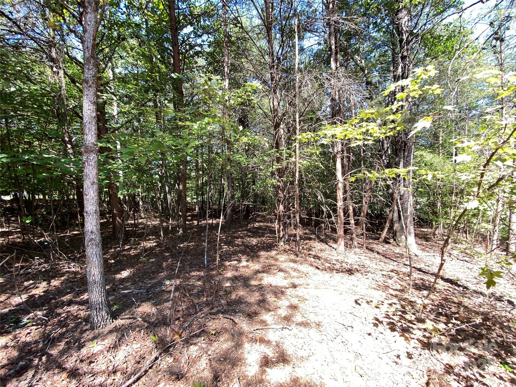 9999 Ridge Way Marion NC 28752