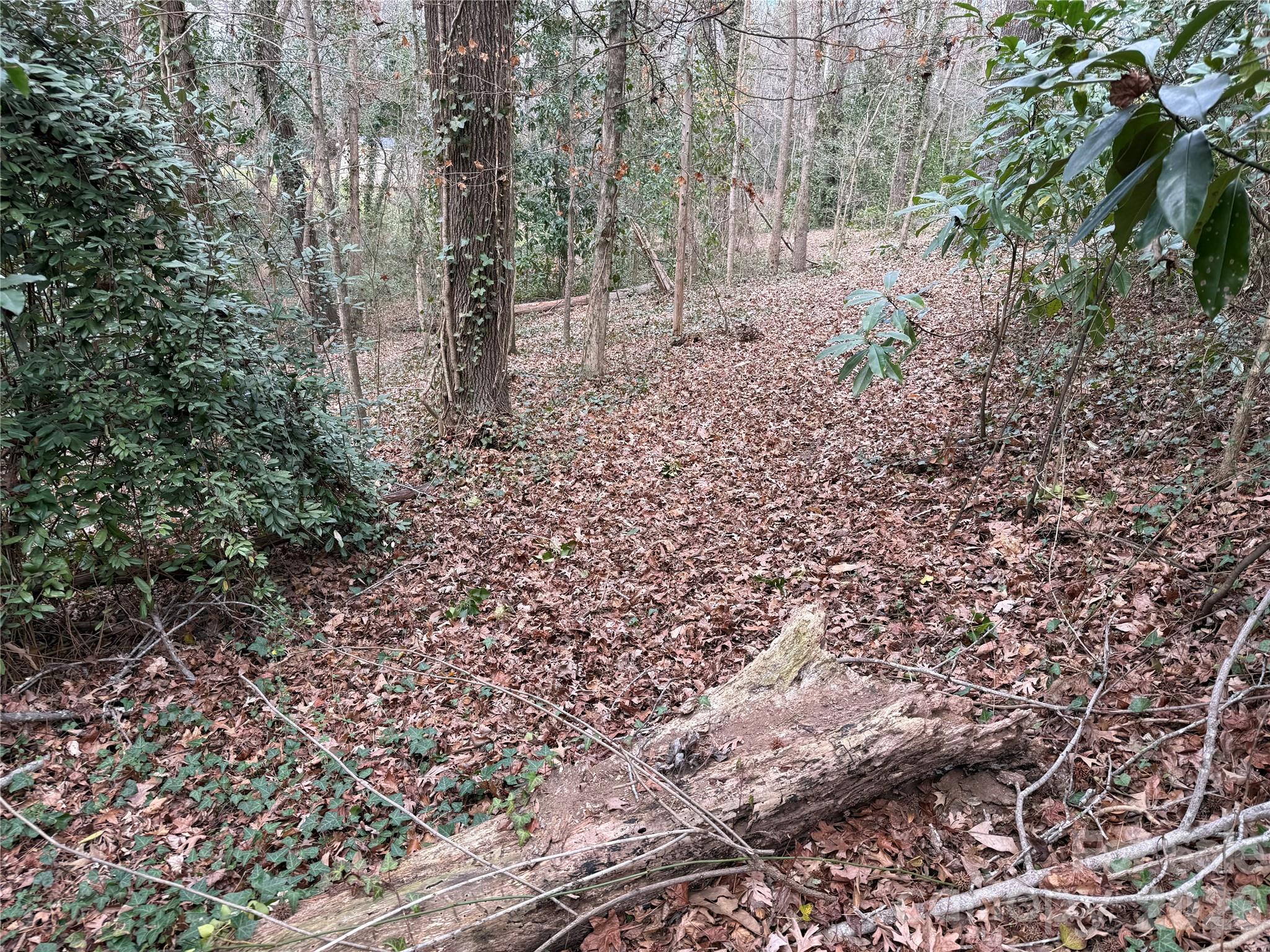 208 S Beaver Street Landis NC 28088