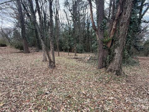 208 S Beaver Street Landis NC 28088