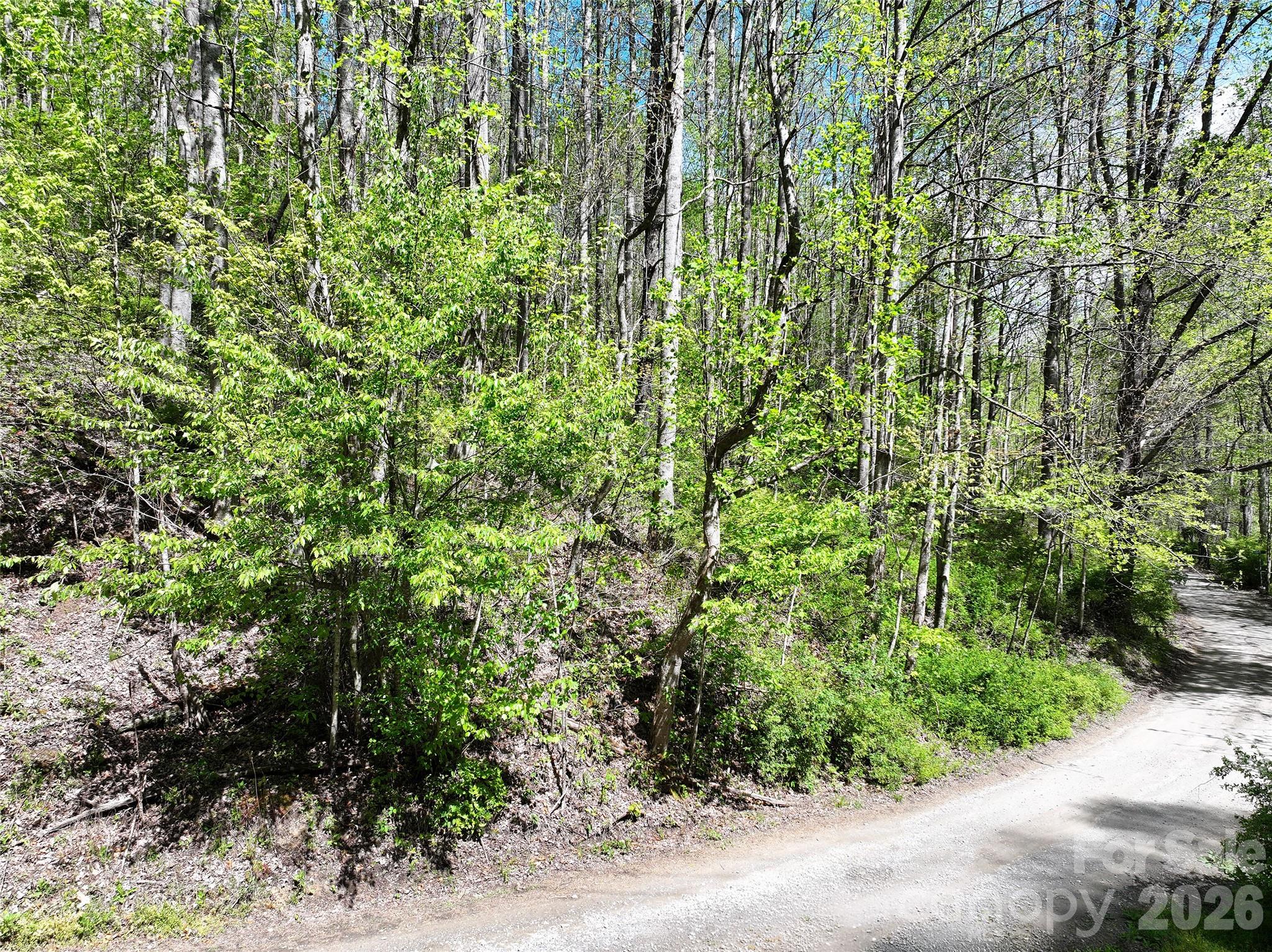 00 Hanks Road Waynesville NC 28785
