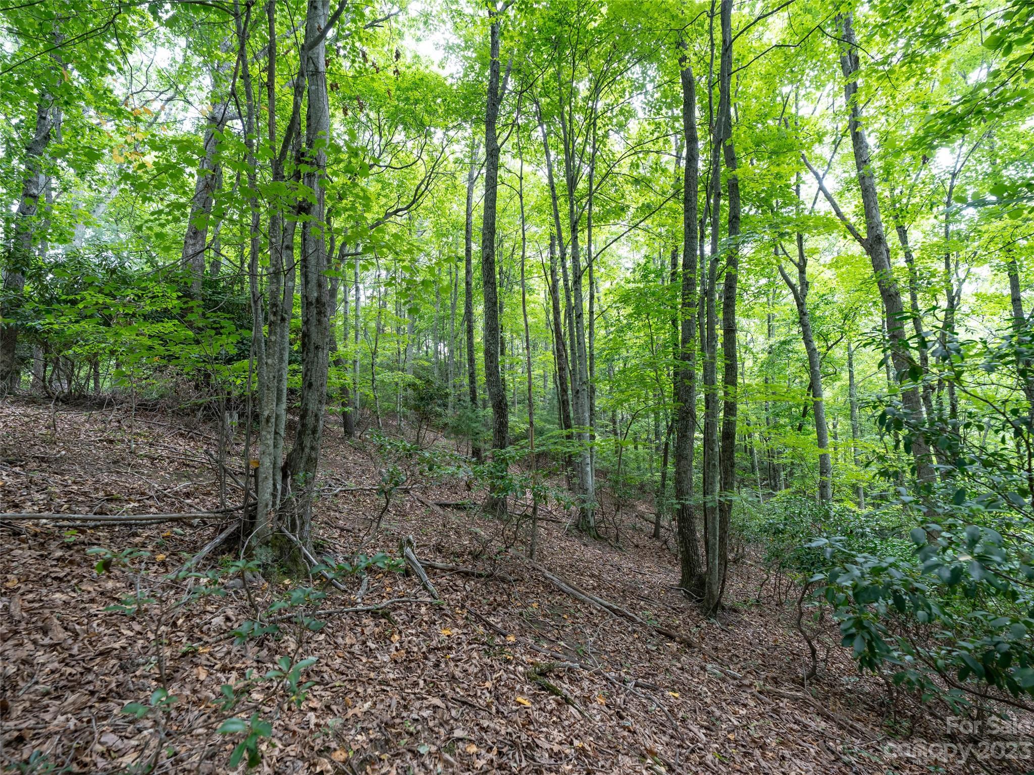 00 Grouse Ridge Road Waynesville NC 28786