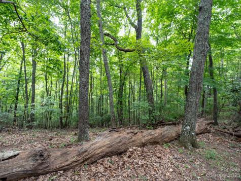 00 Grouse Ridge Road Waynesville NC 28786