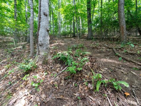 00 Grouse Ridge Road Waynesville NC 28786