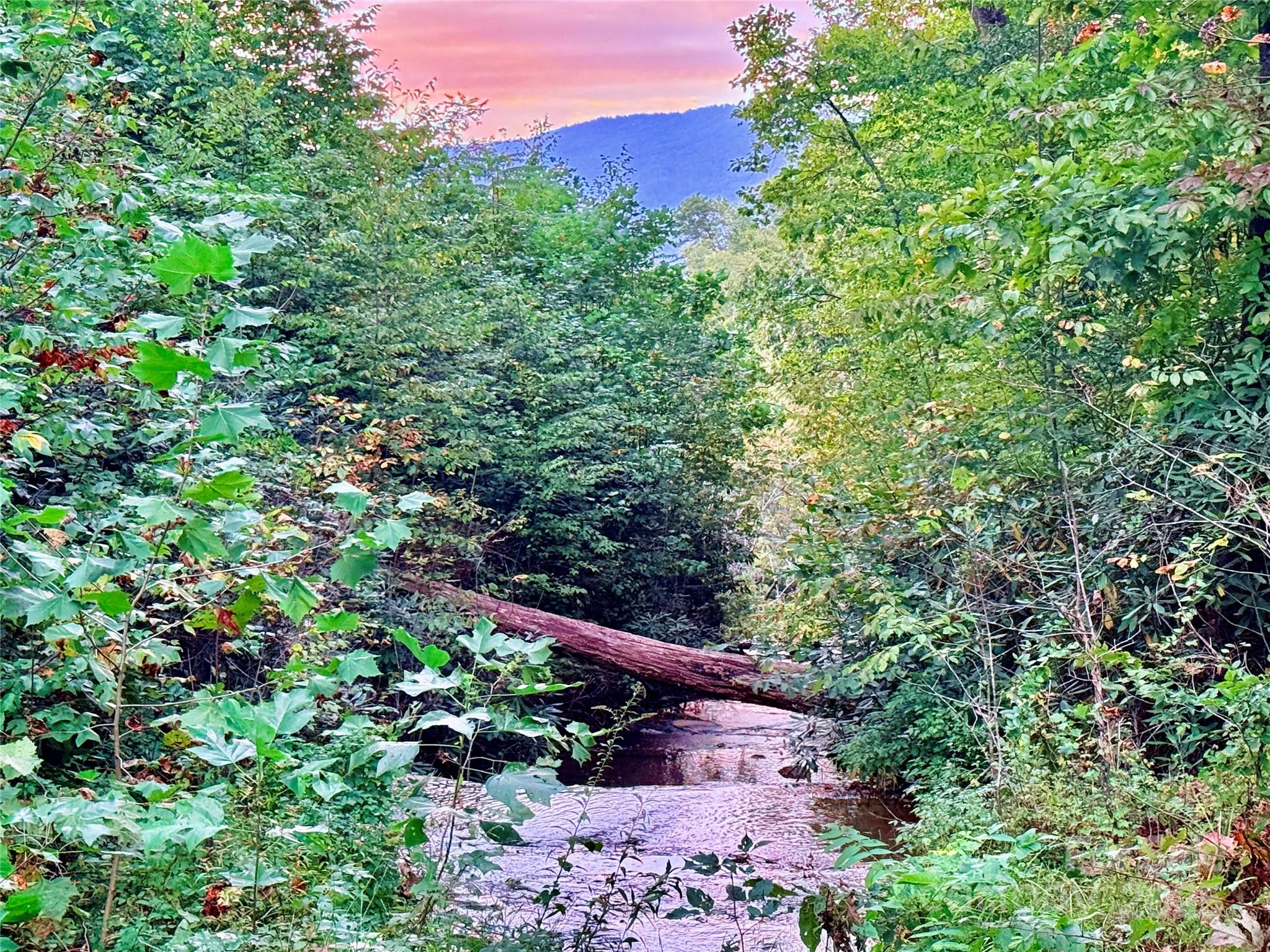 +/-17.73 Acres The Falls Road Union Mills NC 28167