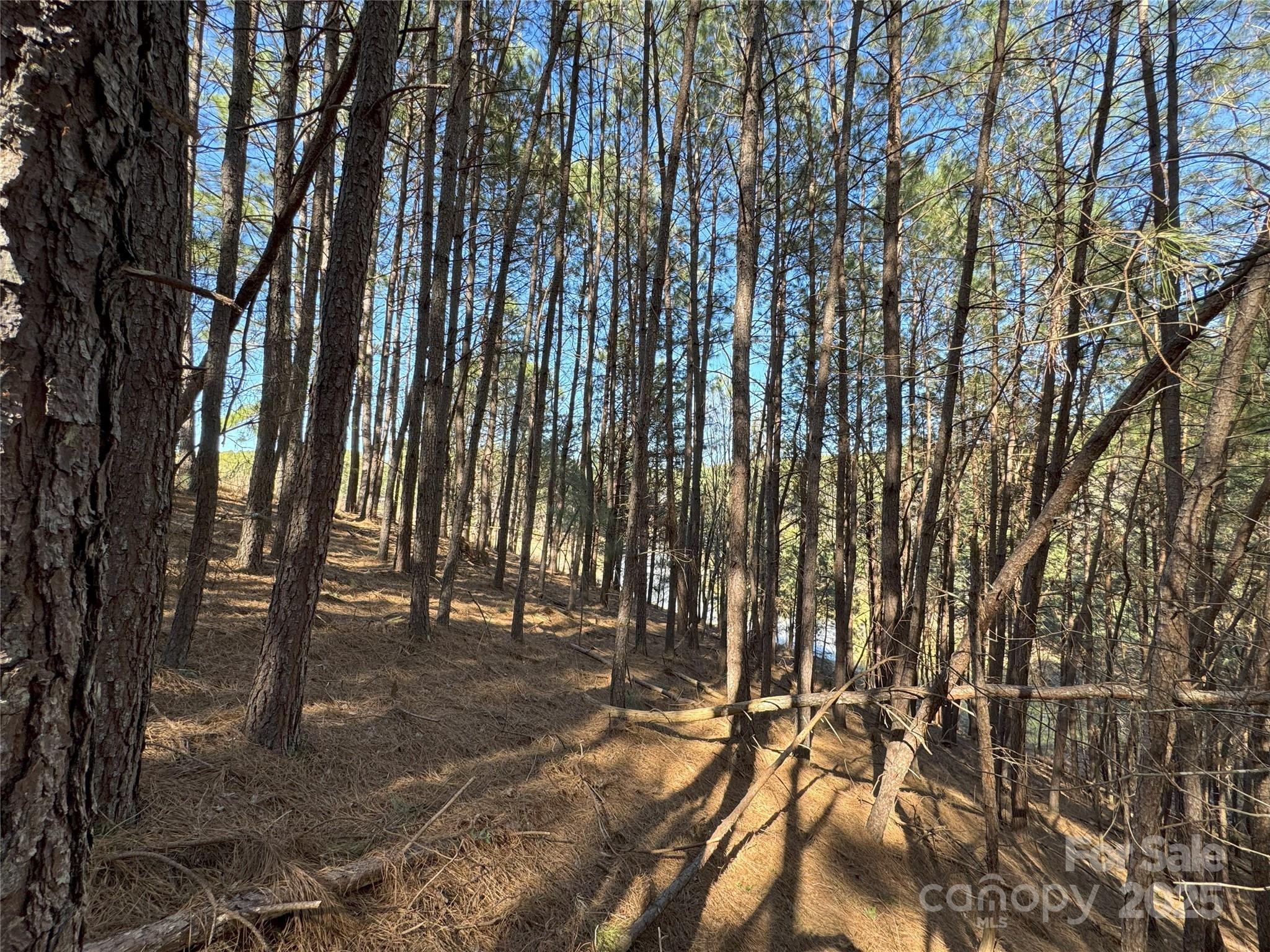 5582 Bridgewater Drive Granite Falls NC 28638