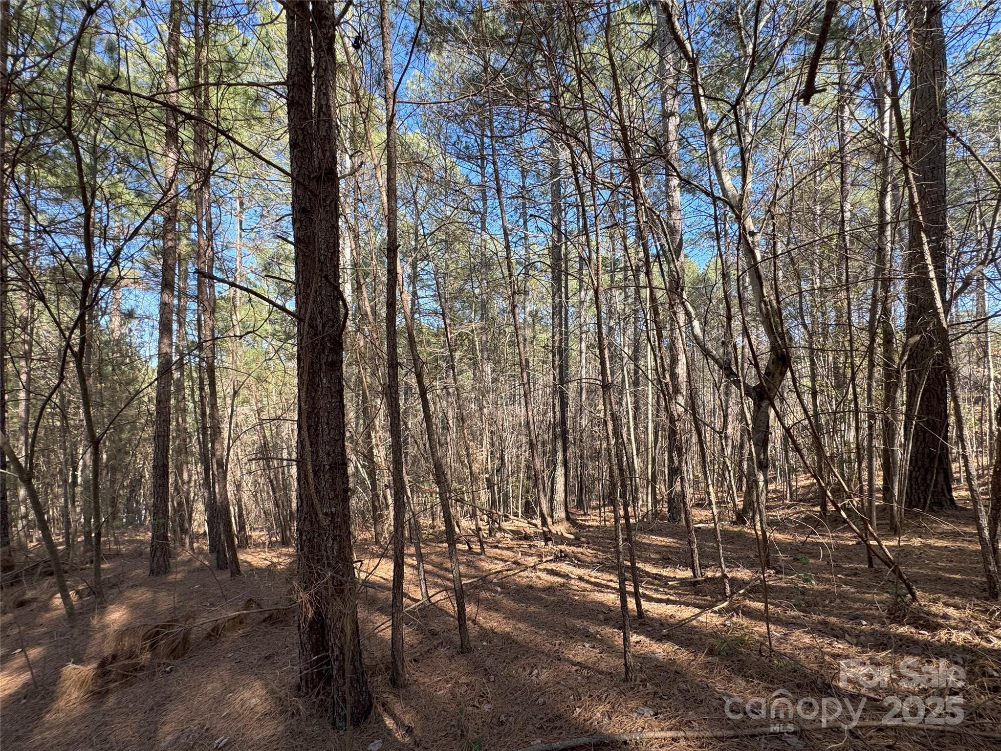 5582 Bridgewater Drive Granite Falls NC 28638