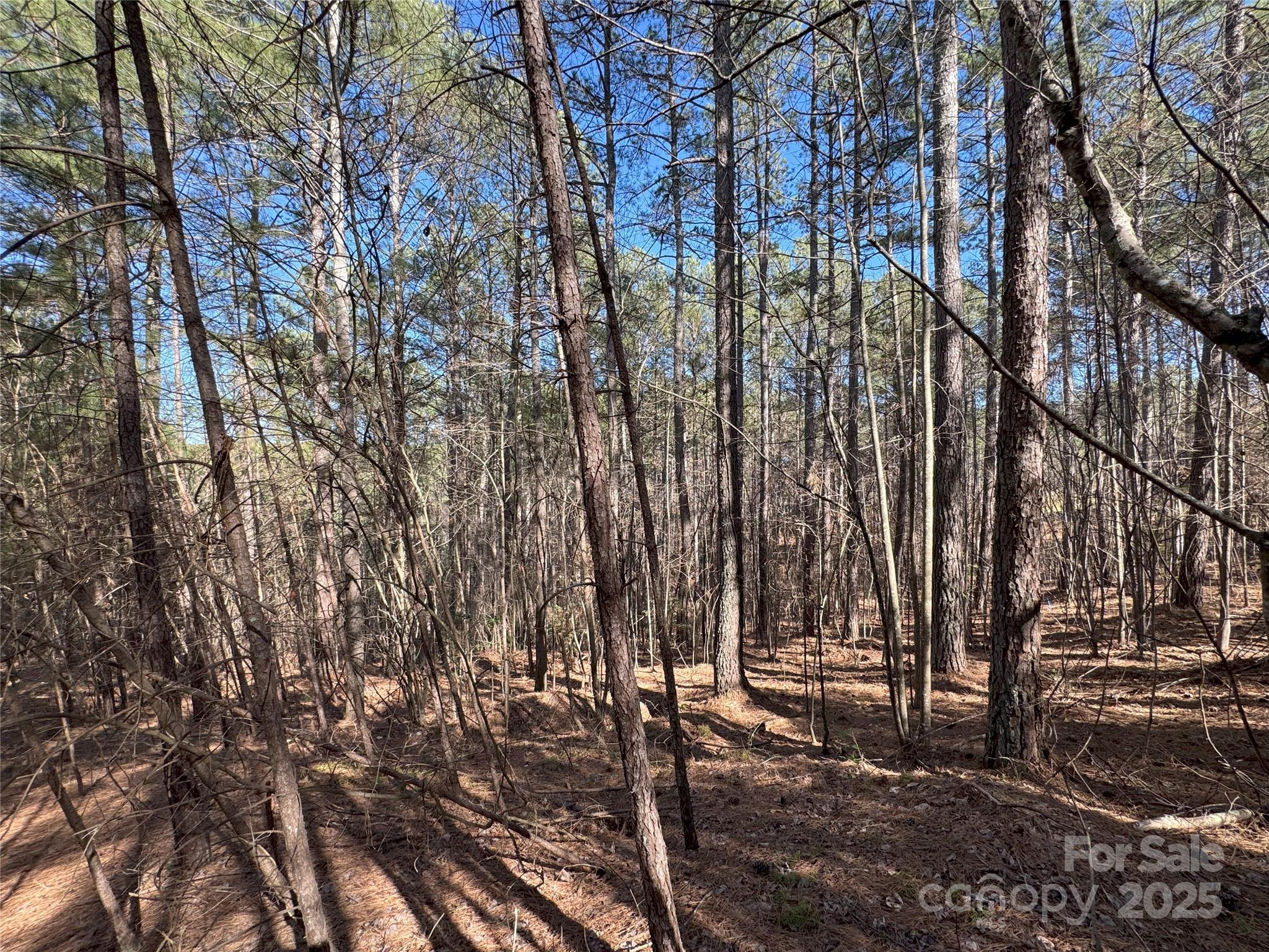 5582 Bridgewater Drive Granite Falls NC 28638