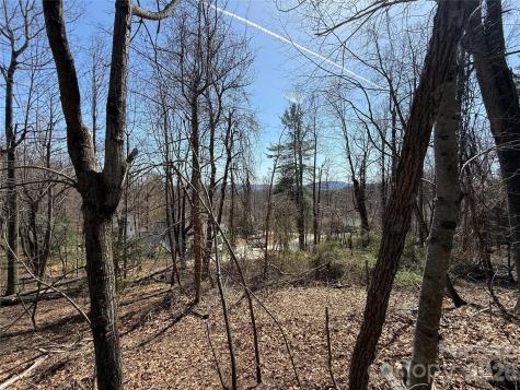 3 Fawn Turn Lane Hendersonville NC 28739