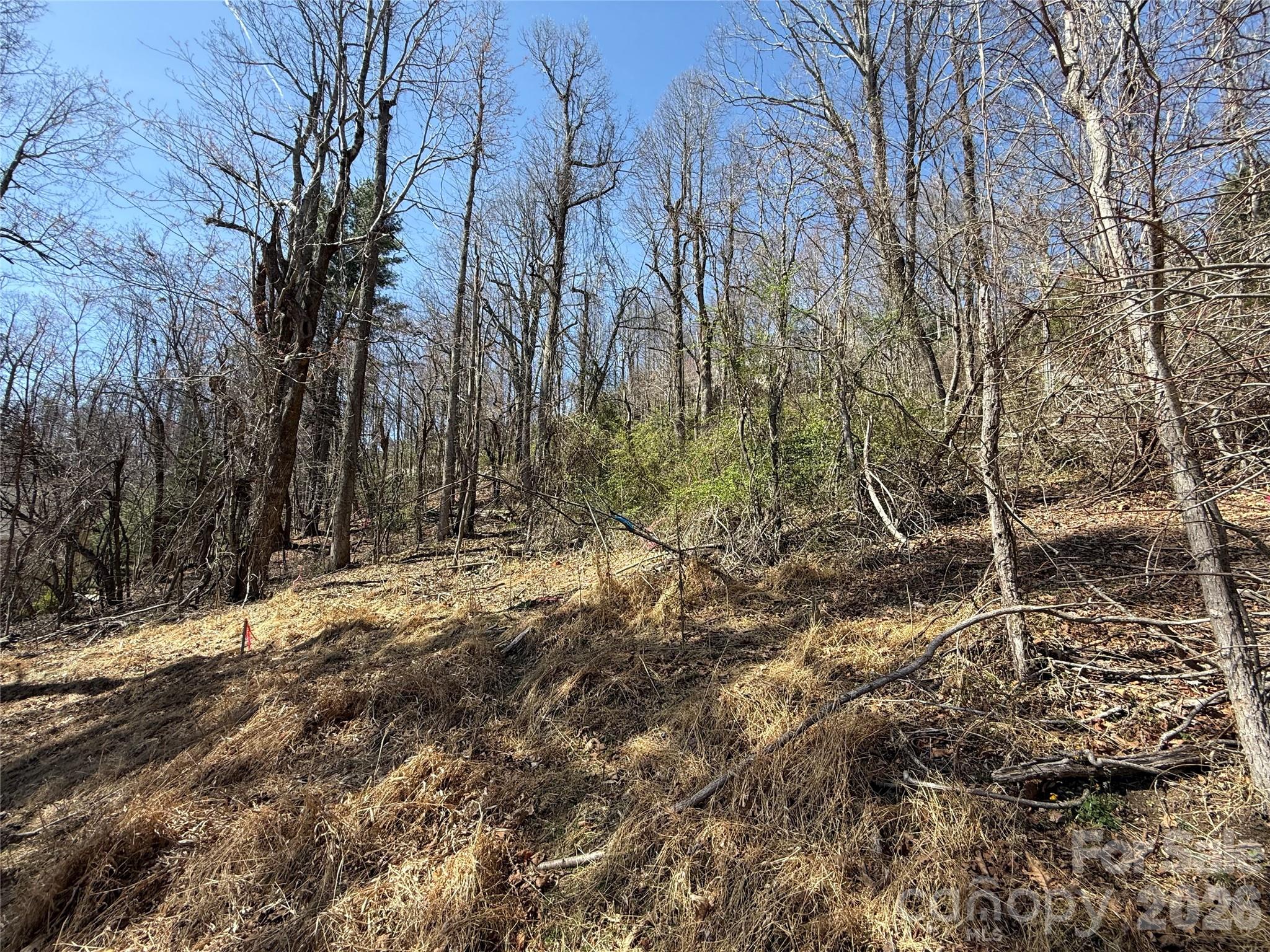 3 Fawn Turn Lane Hendersonville NC 28739