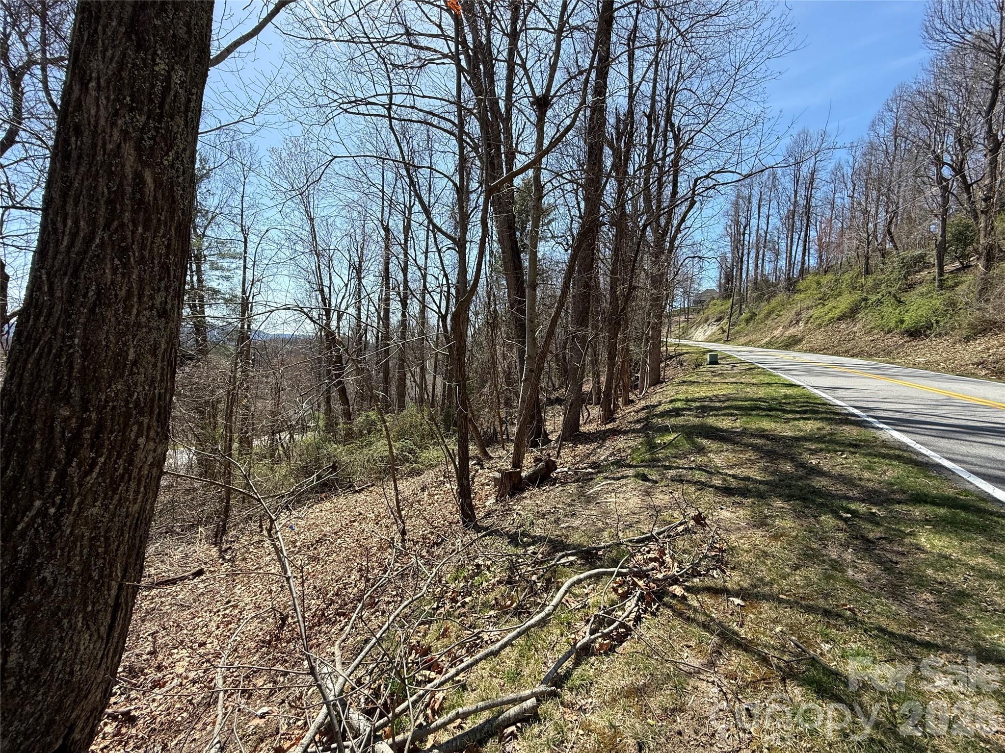 3 Fawn Turn Lane Hendersonville NC 28739