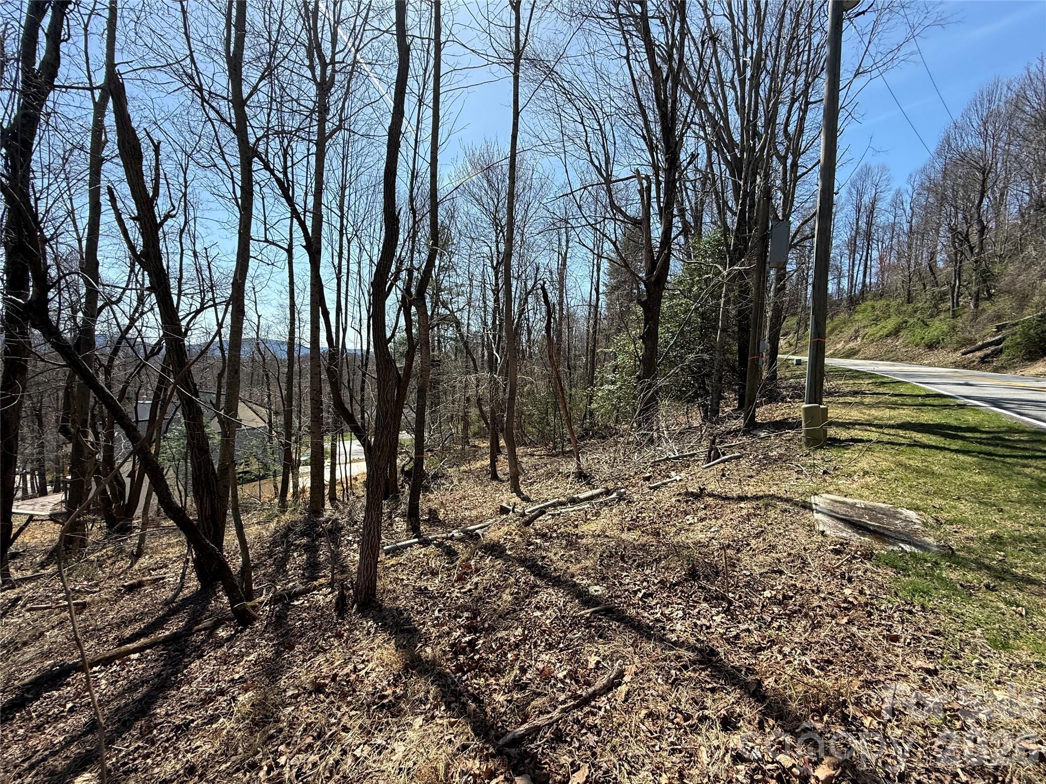 3 Fawn Turn Lane Hendersonville NC 28739