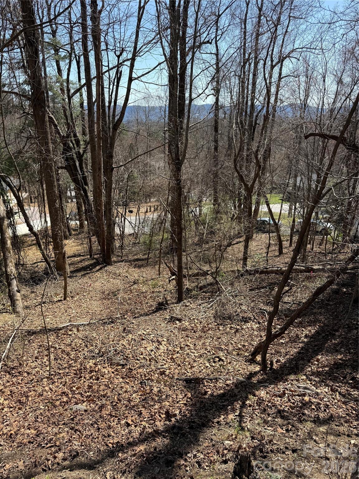 3 Fawn Turn Lane Hendersonville NC 28739