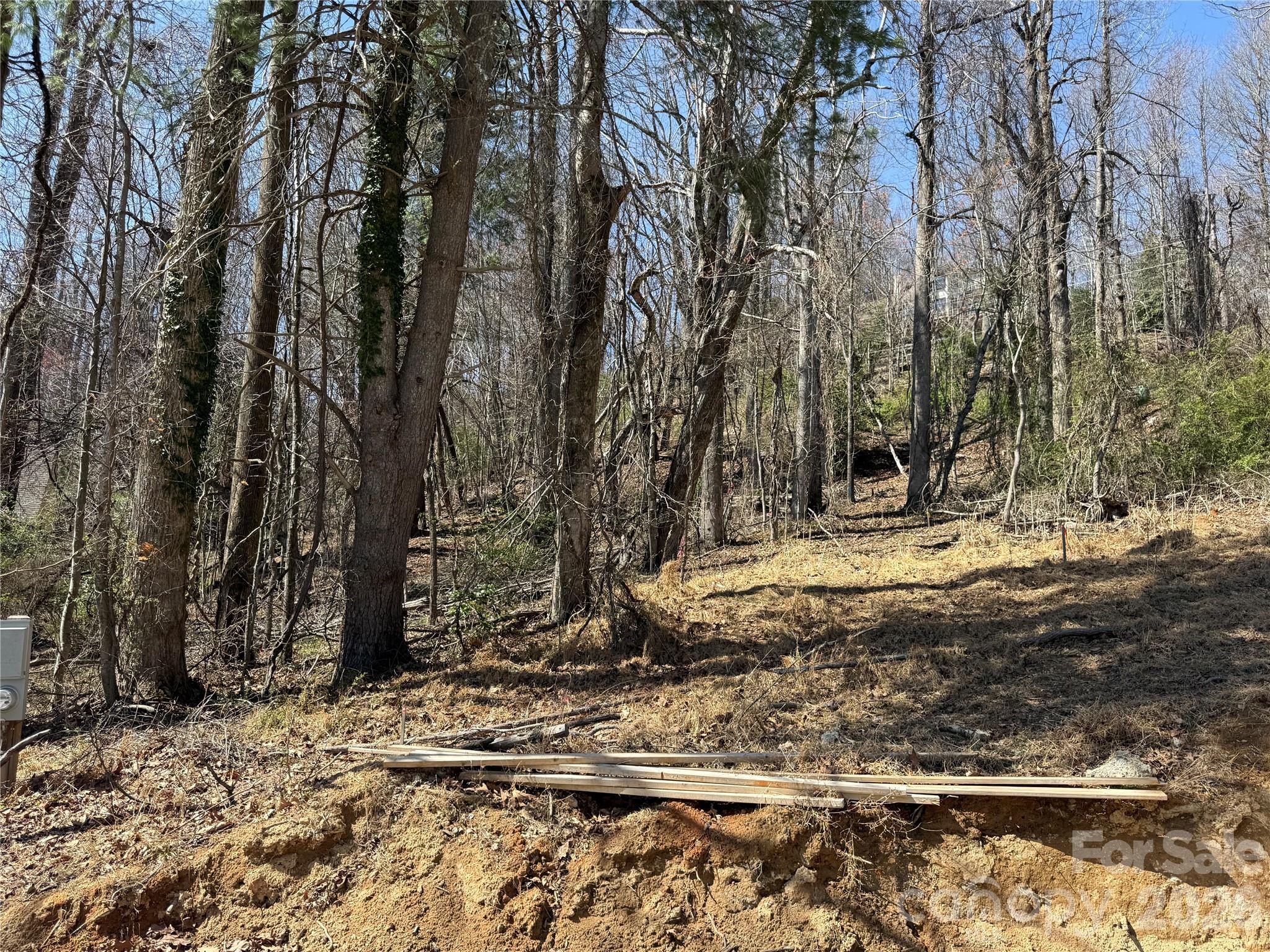 3 Fawn Turn Lane Hendersonville NC 28739