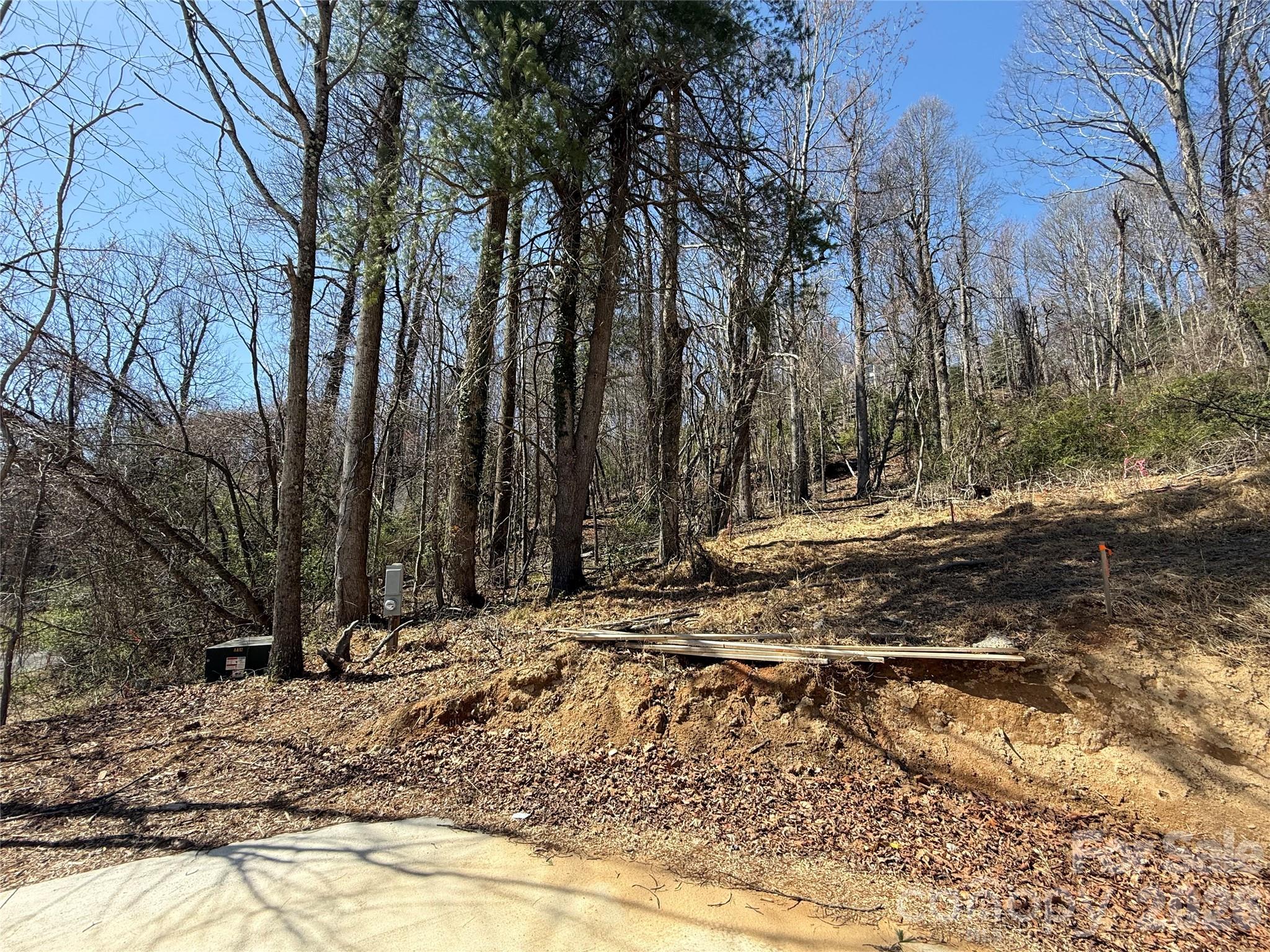 3 Fawn Turn Lane Hendersonville NC 28739