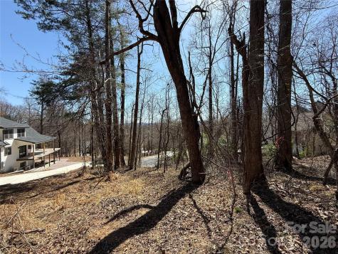 3 Fawn Turn Lane Hendersonville NC 28739