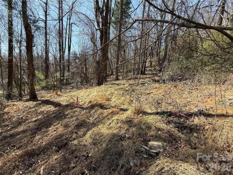 3 Fawn Turn Lane Hendersonville NC 28739