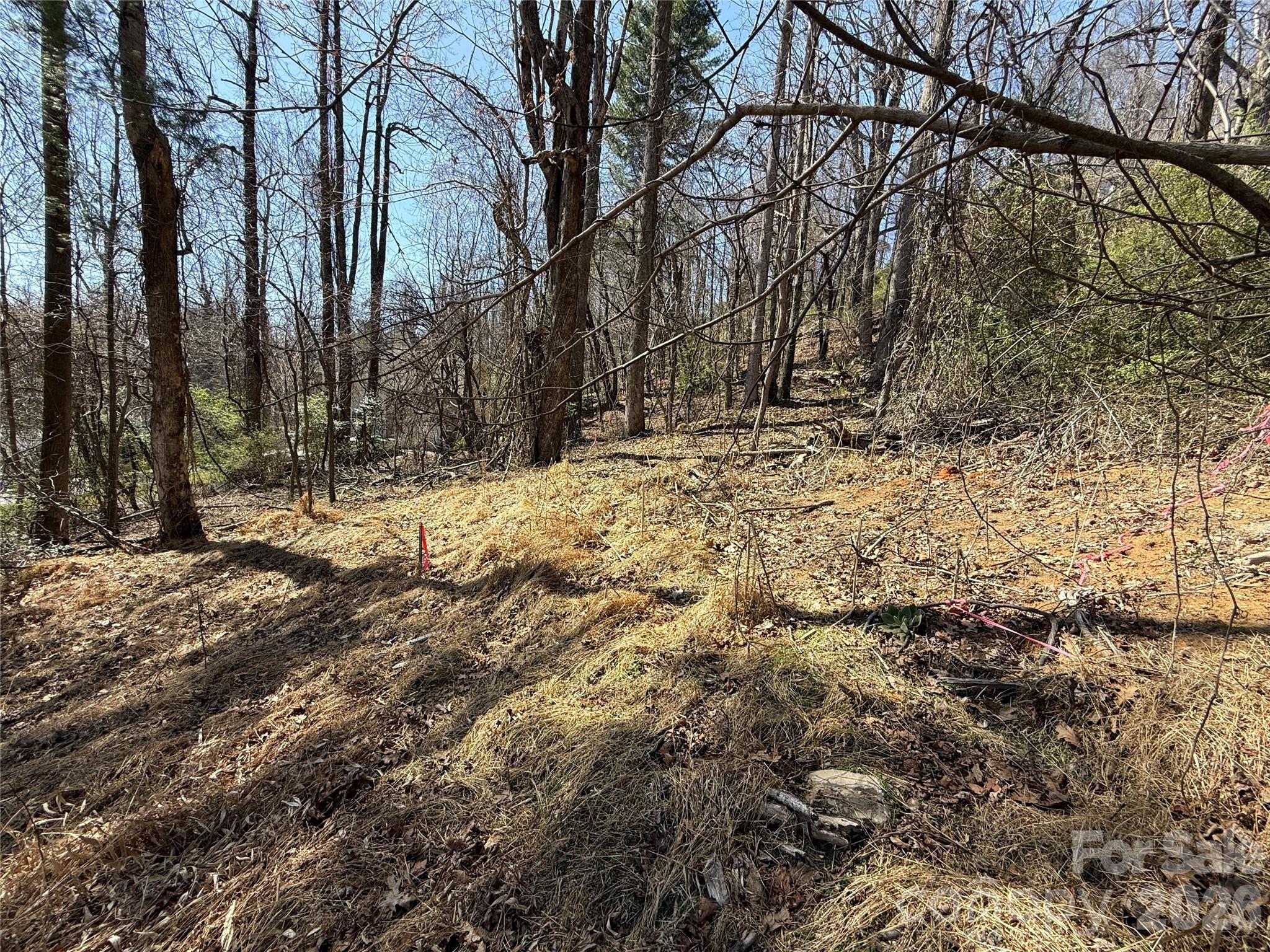 3 Fawn Turn Lane Hendersonville NC 28739