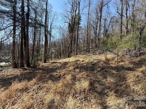 3 Fawn Turn Lane Hendersonville NC 28739