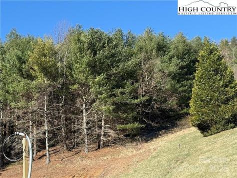 Lot 72 Denise Drive West Jefferson NC 28694