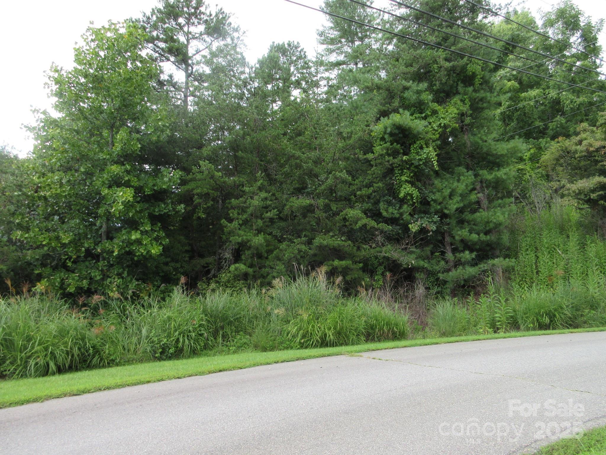 0 Old Burnsville Road Weaverville NC 28787