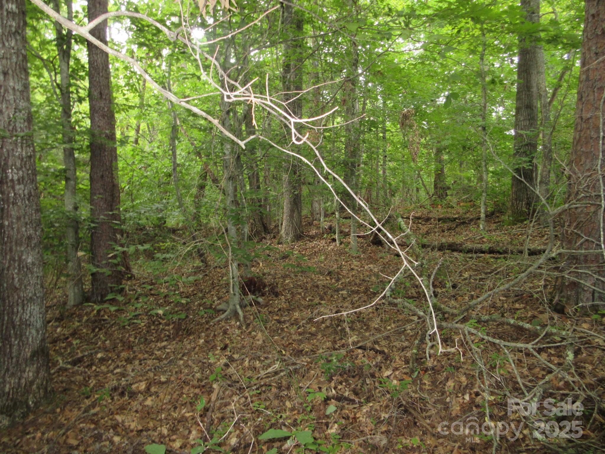 0 Old Burnsville Road Weaverville NC 28787