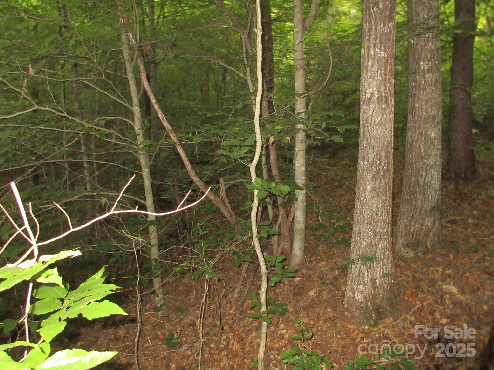 0 Old Burnsville Road Weaverville NC 28787