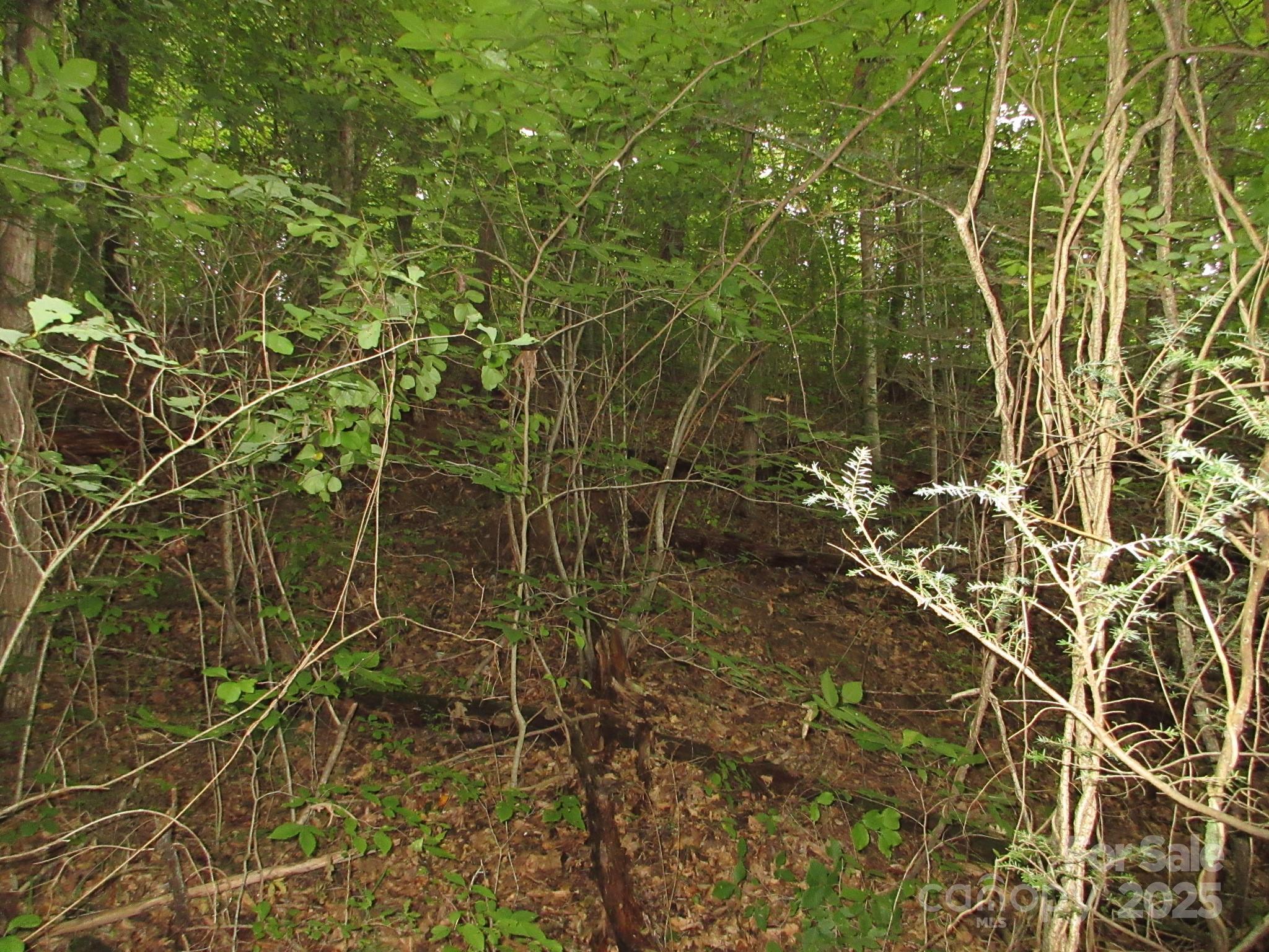 0 Old Burnsville Road Weaverville NC 28787