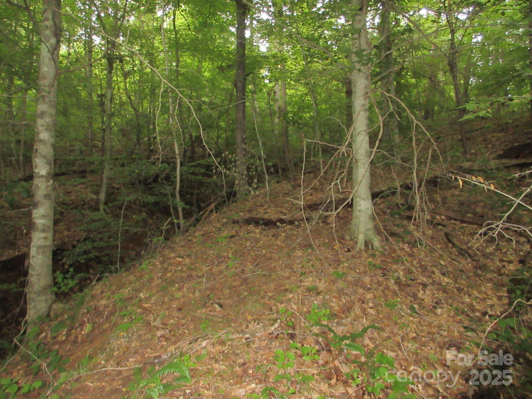 0 Old Burnsville Road Weaverville NC 28787