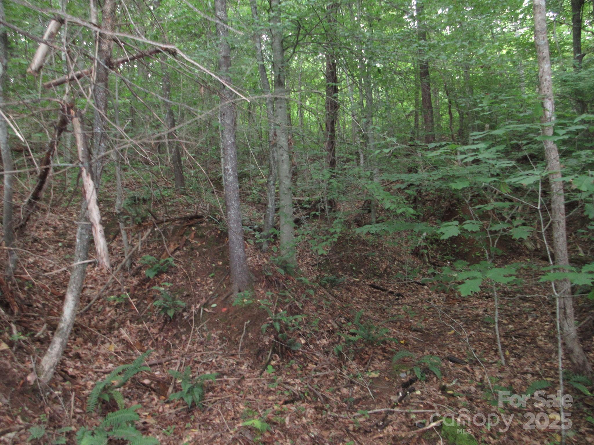 0 Old Burnsville Road Weaverville NC 28787