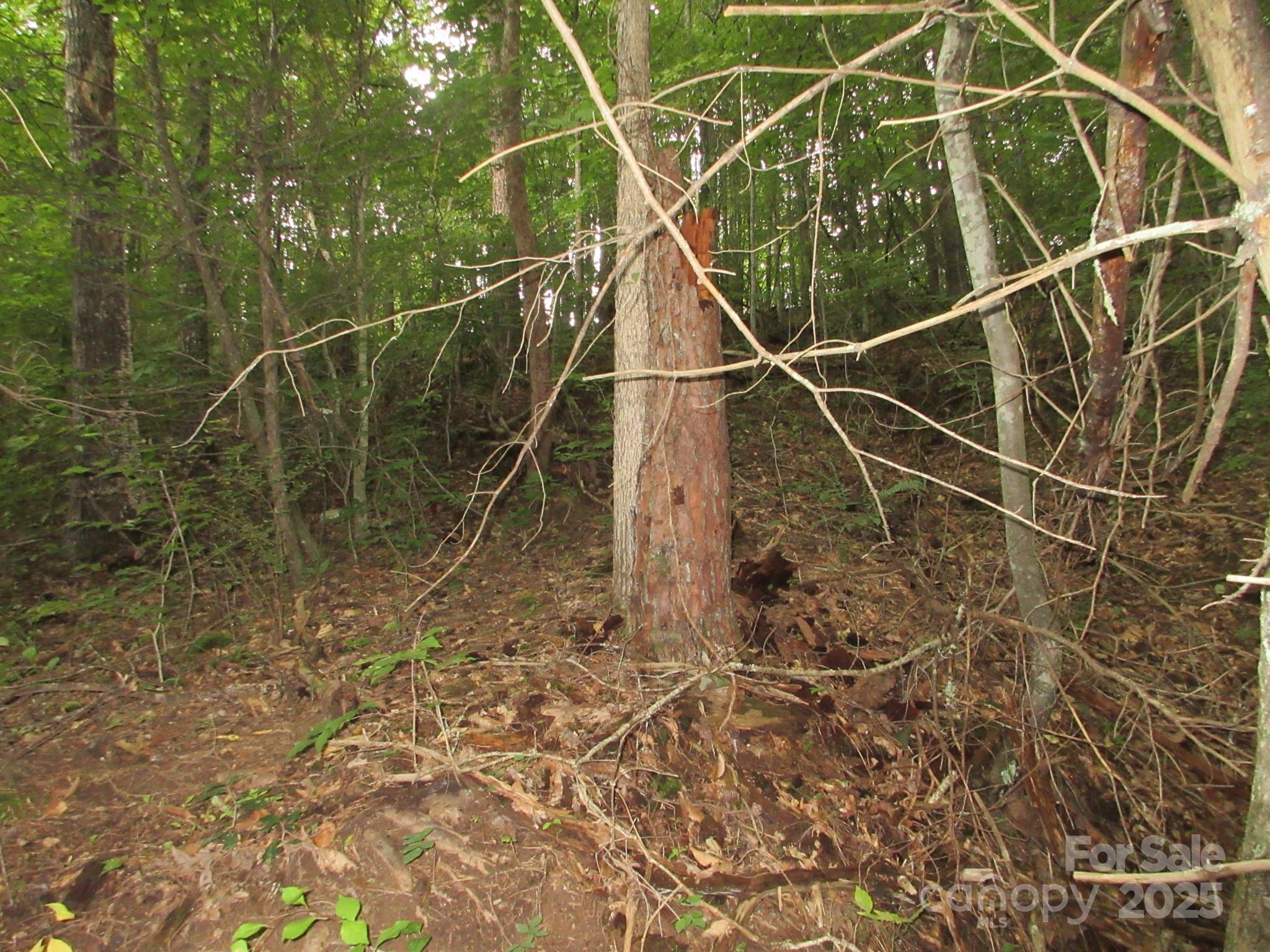 0 Old Burnsville Road Weaverville NC 28787